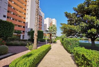 Apartment in Guardamar del Segura, PUERTO, for rent