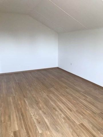 Charmante 2 1/2-Zimmerwohnung - Photo 5