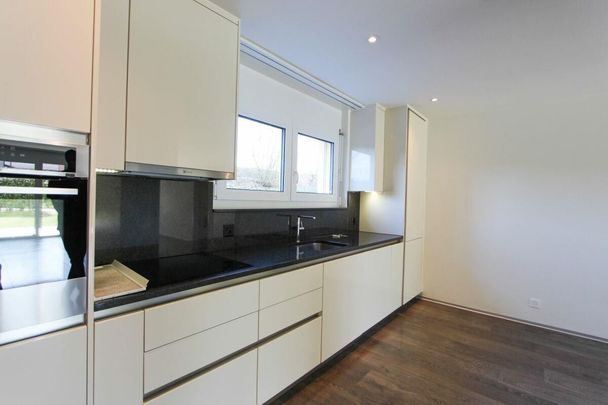 Fantastic attic apartment with large terrace - Photo 1