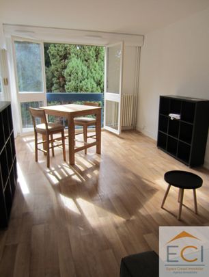 T1 meublé - Proximité Renoir - Photo 1