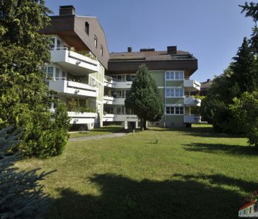 Dachterrassenwohnung in wunderschöner ruhiger Lage nähe Traisenpark - Foto 3