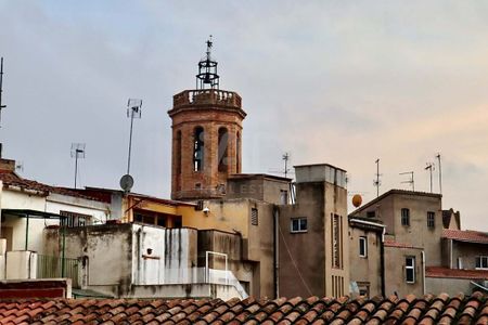 Paseo Plaça Major 47, Barcelona, Catalonia 08201 - Photo 4