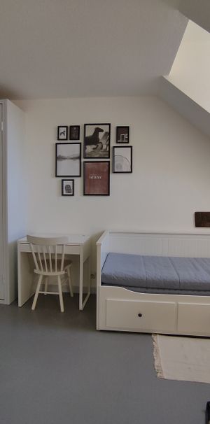 Location Appartement 1 pièce 18m² BELFORT 90000 - Photo 1