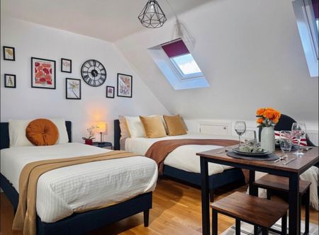 Studio Flat, Georgian Court, HA9 - Photo 4