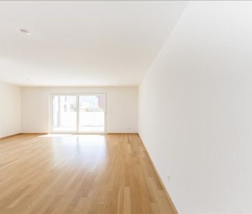 Logement dans le vert - Photo 2