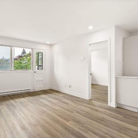 1 CH - 1 SDB - Montréal - $1,345 /mo - Photo 3