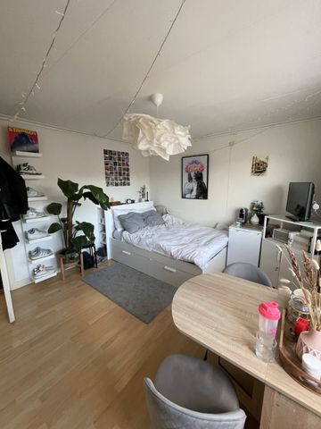 30a, Van Panhuysstraat, Helpman, Zuid, Groningen, Nederland, 9721 GD, Nederland - Photo 5