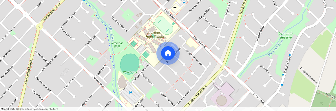 14 Bowerbird Avenue, NSW 2565, , Ingleburn