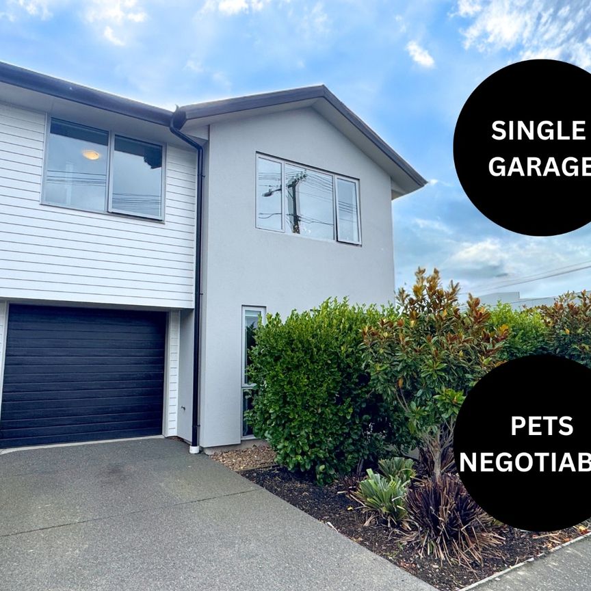 71 Essex Street, Phillipstown, Christchurch - Photo 1