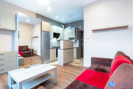 Kawalerka nad Rudawą! | Kasztelańska | Zwierzyniec - Zdjęcie 4