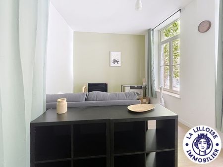 Location Appartement 1 pièce 20m² - Photo 3