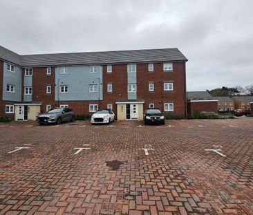 Tame Close - Photo 1