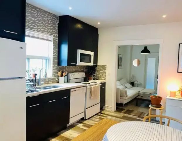 Trinity Bellwoods, 1+1 house apartment! With 1 parking and ensuite laundry - main floor! | 199 Bellwoods Avenue, Toronto - Photo 1