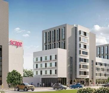 Studio to rent - Photo 5