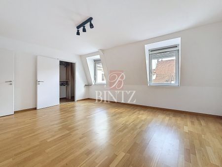 Location Appartement 3 pièces 96m² SAVERNE 67700 - Photo 4
