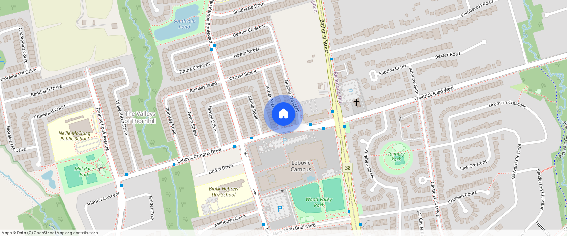 342 Albert Street, Waterloo, N2L 3T7