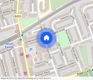 Olive Road - Photo 1