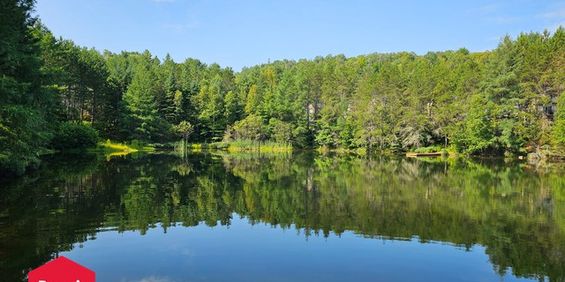 Maison Mont-Tremblant À Louer - Photo 3