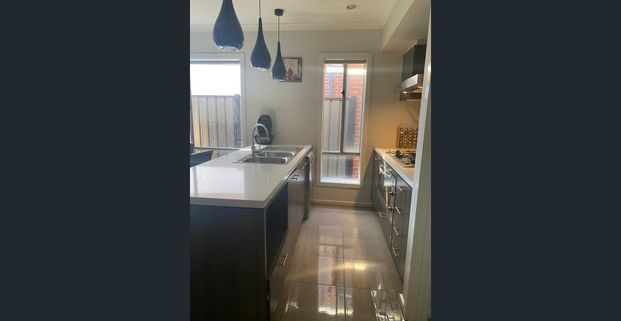 11 Patchouli Street, Truganina, Vic 3029 - Photo 1