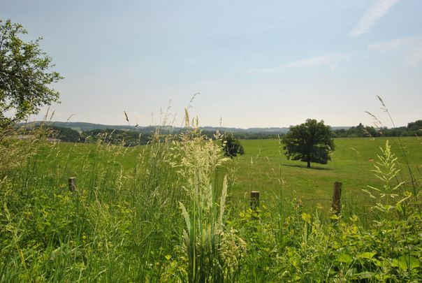 *Gemütliches Apartment mit Terrasse und Gartenanteil* Wohnen in ruhiger Lage von Marienfeld. - Foto 1