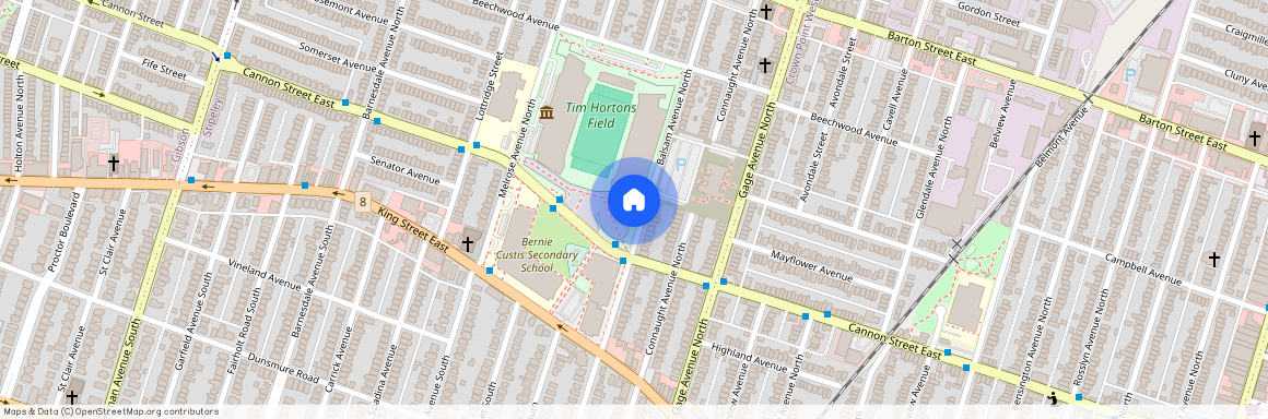 55 Balsam Avenue Unit# Unit 6, Hamilton