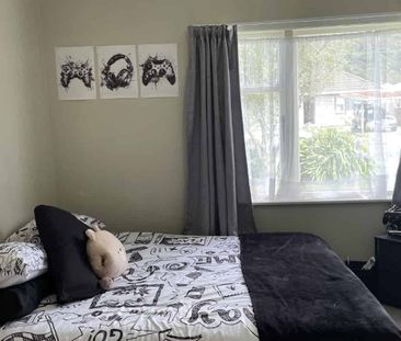 Wainuiomata Living - Photo 3