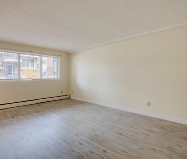 Elmwood II - Photo 4