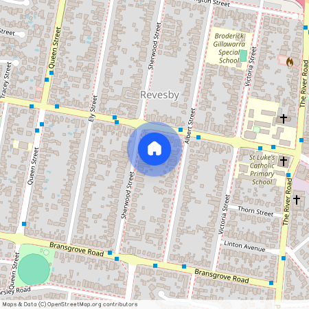 81A Sherwood Street, NSW 2212, Revesby