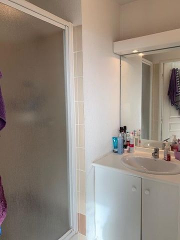 Location Appartement 1 pièce 22m² LIMOGES 87000 - Photo 3