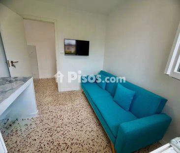Chalet en alquiler en Tegueste - Santa Cruz de Tenerife - Photo 2