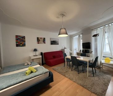 Möblierter Altbaujuwel im Herzen des 1.Bezirkes, charmante 40m² Gar... - Foto 6