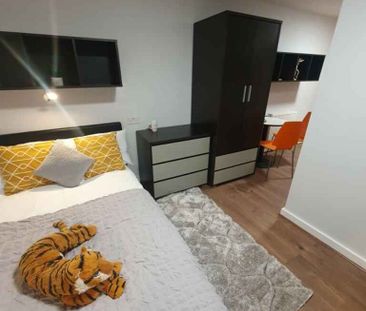 Deluxe Plus Studio - Photo 6