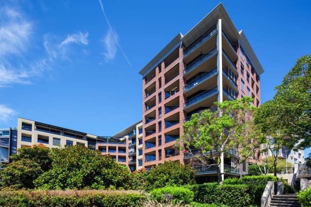 408D/26 Point Street, Pyrmont NSW 2009 - Apartment For Rent | Domain - Photo 1