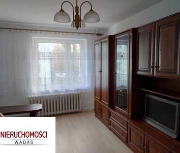 Mieszkanie 2 pokojowe do wynajmu - Фото 1