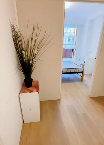 3 bedroom 1 bathroom - Photo 5