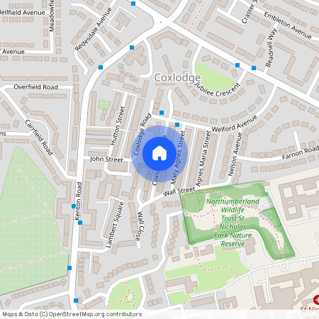 Coxlodge Terrace, Coxlodge, NE3