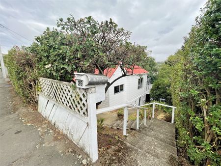 29 Tyne Street, Roslyn, Dunedin - Photo 5