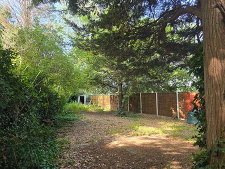 5 bedroom detached house to rent - Photo 3