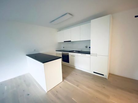 Unique apartment with special charm in Rorschacherberg - Photo 4