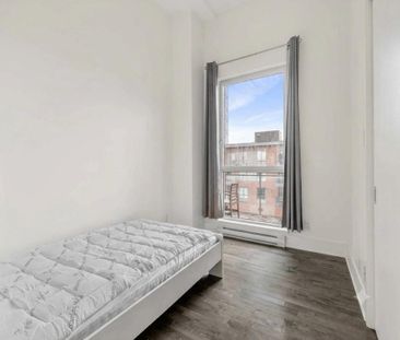 365 Rue St-André, app.920, H2L 0G2, H2L 0G2, Montréal - Photo 2