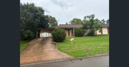 Well-Maintained Family Home with Outdoor Entertaining - Photo 5