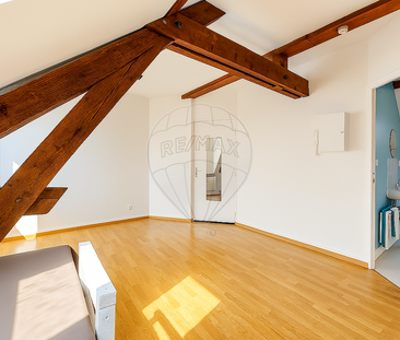 Location Appartement 1 pièce 19m² STE SAVINE 10300 - Photo 5