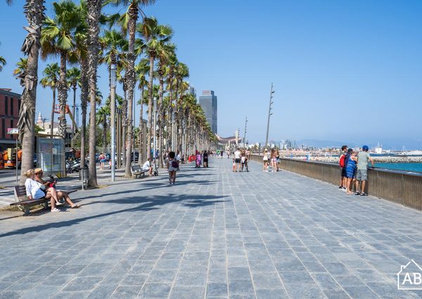 2 Bedroom Apartment in La Barceloneta
