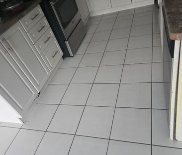 For Lease - 51 Mullholland Avenue, Cambridge, Ontario - Photo 3