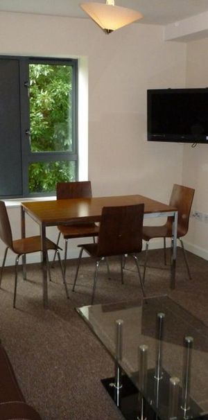 3 bedroom flat to rent - Photo 2