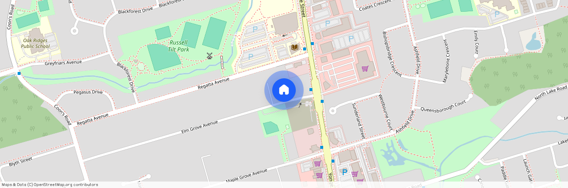 14 Elm Grove Avenue, Richmond Hill