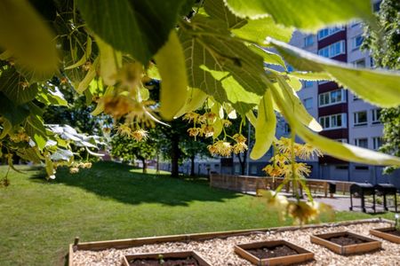 Bergslagsgatan 12 - Photo 2