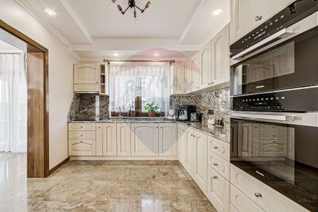 Vila speciala de vanzare/inchiriat in Sanleani Arad - Fotografie 5