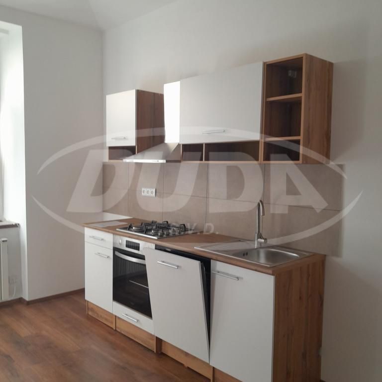 Pronájem bytu 1+1 47 m2 - Fotografie 1