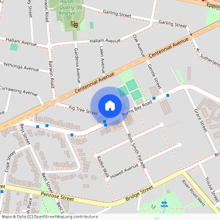 1/3 Fig Tree St, Lane Cove, NSW 2066